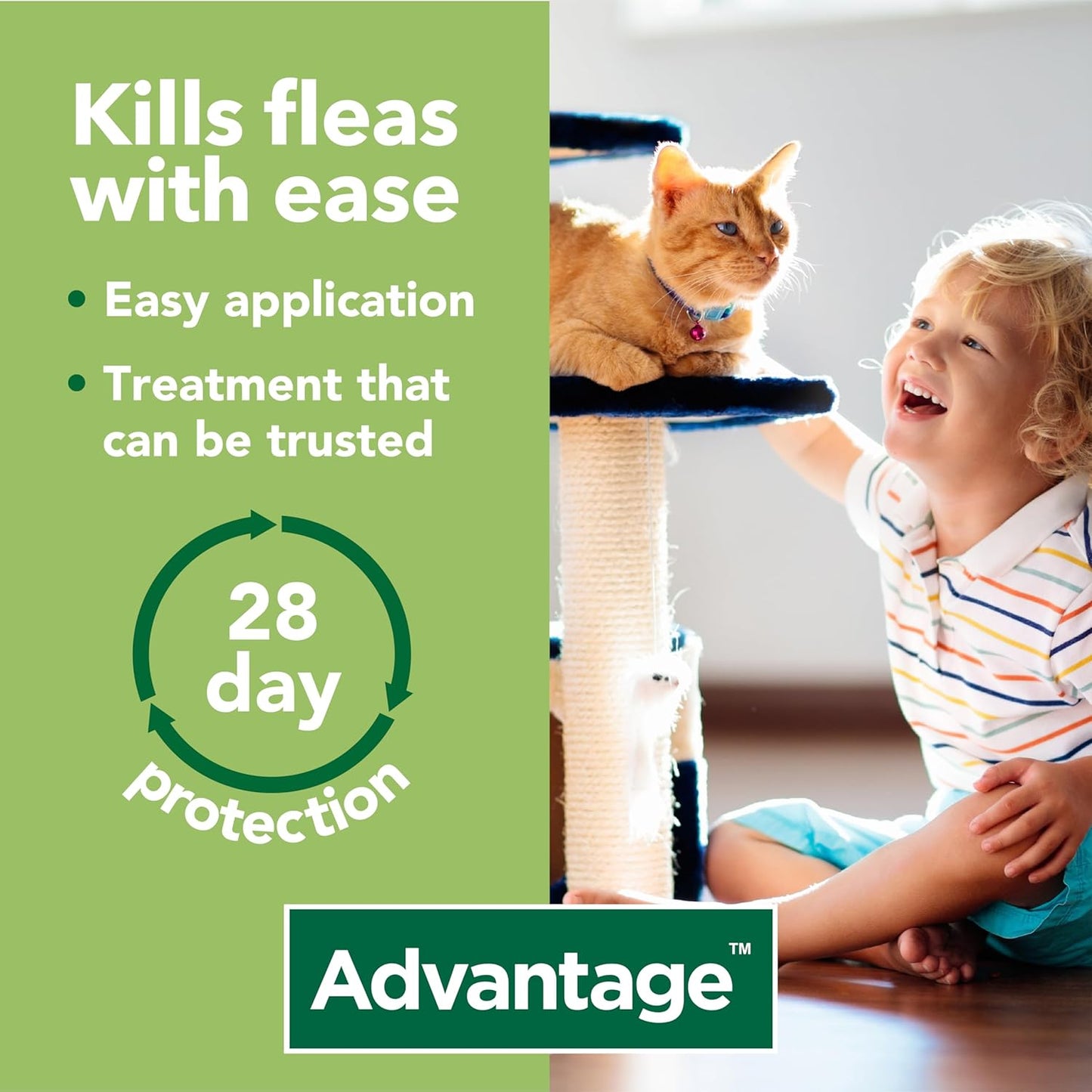 Flea Treatment 80 for Large Cats and Rabbits 4X Pipette, for Pets Weighing More than 4Kg, Spot-On Treatment to Kill and Prevent Fleas on Large Cats and Treat Fleas on Pet Rabbits
