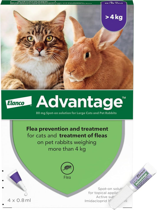 Flea Treatment 80 for Large Cats and Rabbits 4X Pipette, for Pets Weighing More than 4Kg, Spot-On Treatment to Kill and Prevent Fleas on Large Cats and Treat Fleas on Pet Rabbits